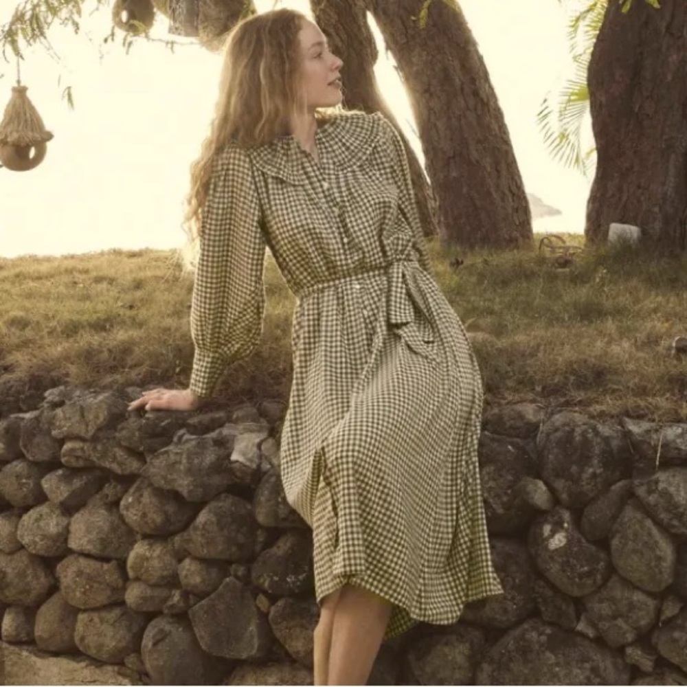 Doen Paris Dress in Olive Gingham size small